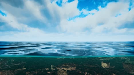 underwater-view-with-horizon-and-water-surface-split-by-waterline