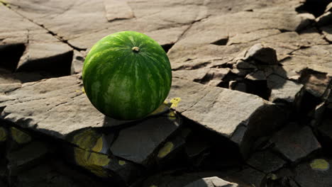 Watermelon-fruit-berry-on-rocky-stones