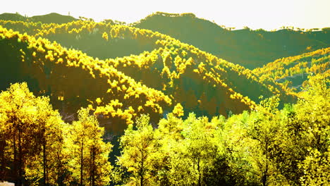 Vista-Sobre-El-Bosque-De-Otoño-En-Las-Montañas-Y-El-Cielo-Azul-De-Suiza