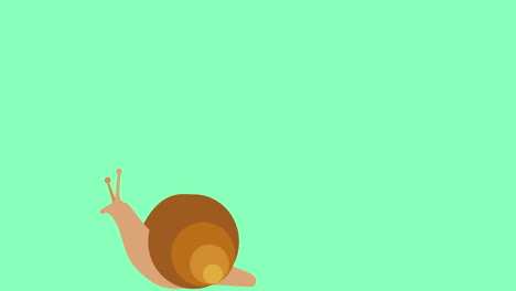 Cute-hand-drawn-snail,-baby-cartoon-style
