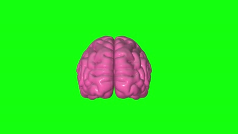 3D Motion Graphic of a Human Brain Stock Video Footage by