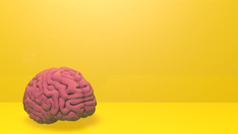 3d-Brain-model-on-a-yellow-stage