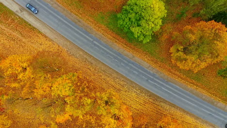 Himmelsansicht-Des-Herbstlichen-Straßenautos.-Luftbild-Landstraße-Im-Herbstwald