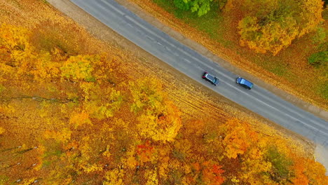 Top-view-autumn-forest-road-and-cars.-Buildings-city-and-car-parking-drone-view