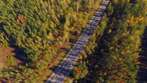 Aerial-highway-at-forest.-Aerial-view-empty-road-in-forest-landscape