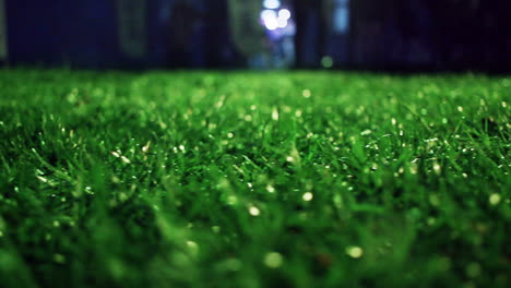 Green-grass.-Closeup.-Lawn-close-up.-Grass-background.-Green-grass-soccer-field