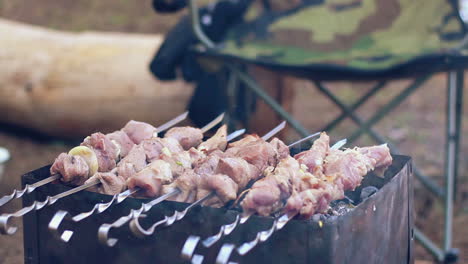 Raw-meat-grilling-on-mangal.-Pieces-of-meat-cooking-on-metal-skewers