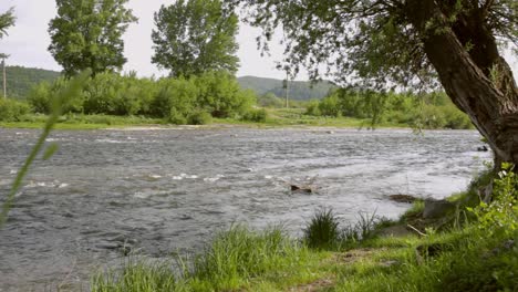 River-stream-landscape.-River-water-flowing.-Summer-nature-background