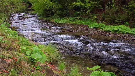 Schneller-Gebirgsfluss,-Der-Durch-Den-Wald-Fließt.-Schneller-Gebirgsfluss