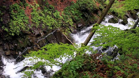 Wasserfall-In-Waldgebiet.-Kaskadenwasserfall-In-Den-Bergen.-Waldfluss