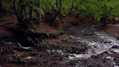 Kleiner-Gebirgsfluss-Fließt-Durch-Dunklen-Wald.-Wunderschöne-Waldlandschaft