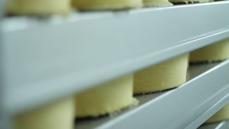 Cheese-wheels-stored-on-warehouse-shelves-of-factory.-Food-production