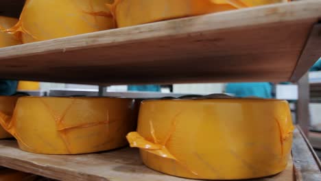 Packaged-cheese-wheels-on-shelves-in-factory-warehouse.-Cheese-production