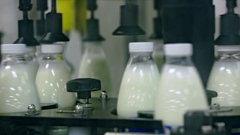 Dairy-production-line.-Milk-production-line.-Production-dairy-products