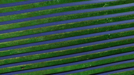 Solar-farm-producing-clean-renewable-energy.-Aerial-landscape-of-solar-panels