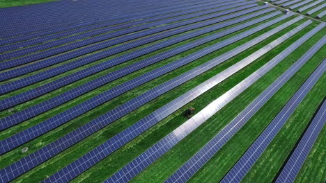 Long-rows-of-photovoltaic-solar-panels-on-green-field-at-sunny-day