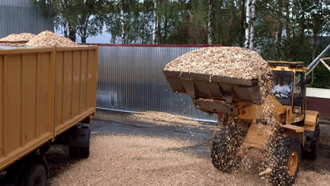 Wheel-front-loader-unloading-sawdust-into-heavy-dump-truck.-Waste-on-sawmill
