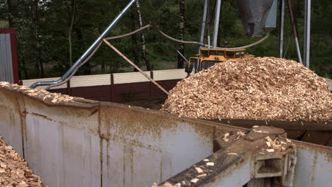 Large-bucket-of-front-end-loader-pouring-sawdust-into-truck-body