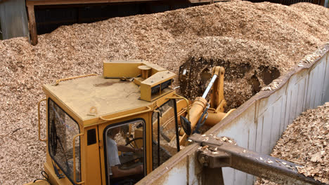 Front-end-loader-pouring-sawdust-from-big-heap-into-truck-body
