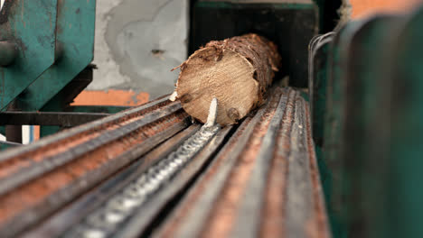 Holzförderer,-Der-Holzstämme-Zur-Weiteren-Verarbeitung-Auf-Eine-Automatisierte-Linie-Zieht