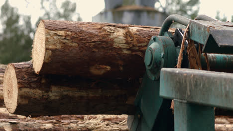 Feeding-logs-to-conveyor.-Conveyor-for-heavy-timber-logging.-Log-transporter