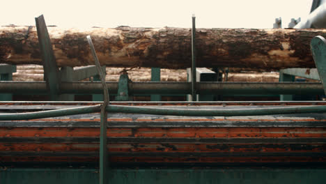 Process-of-machining-logs-at-sawmill.-Processing-of-timber-at-sawmill