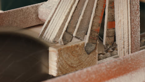 Close-up-of-electric-saw-sawing-wooden-board-on-automated-line-at-sawmill