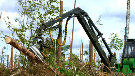 Logger-with-robotic-arm-lifting-and-sawing-logs-in-forest.-Deforestation