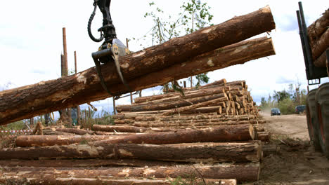 Logging-truck-is-unloaded-after-arrival-to-saw-mill.-Wheel-loader-in-action