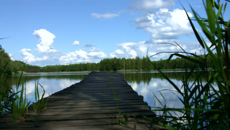 Forest-lake-and-wooden-platform-going-into-lake.-Wooden-dock-by-forest-pond