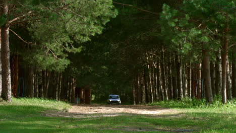Wood-path-with-pines-along-sides.-Forester-driving-around-his-forest-land