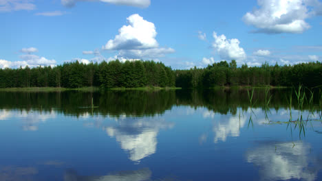 Beautiful-forest-lake-with-calm-water-in-pine-forest.-Wonderful-landscape