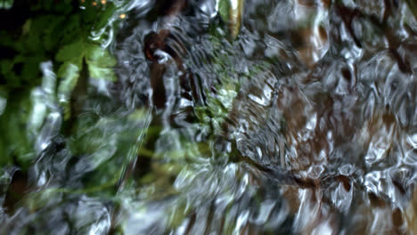 Cold-water-flowing-from-spring-in-forest.-Babbling-brook-in-woods