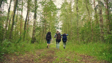 Three-travelers-with-backpacks-go-to-deciduous-forest.-Group-of-young-friends-travel
