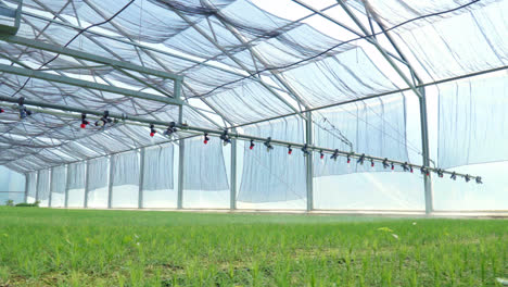 Watering-machine-irrigating-plants-in-greenhouse.-Agricultural-equipment