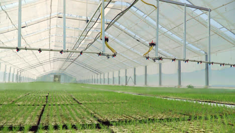 Bewässerungsgeräte-In-Arbeit.-Bewässerung-Von-Pflanzen-In-Modernen-Glasgewächshäusern