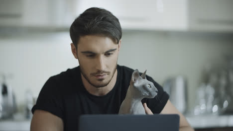 Handsome-man-working-on-laptop-with-sphynx-cat.-Hipster-work-on-computer