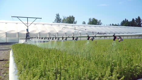 Equipment-for-watering-plantations.-Automatic-watering-in-agro-industry