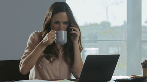 Business-woman-working-at-computer-at-workplace.-Portrait-of-lady-talking-phone.