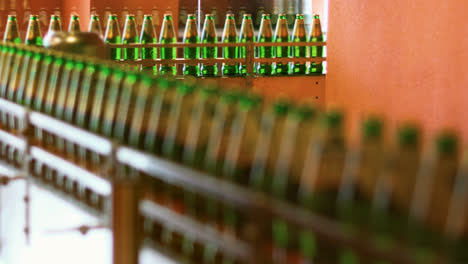 Beer-bottling-production-line-on-brewery-factory.-Green-bottles-on-conveyor-belt