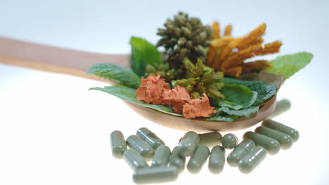Herbal-medicine-concept.-Homeopathy-herbal-pills.-Natural-treatment