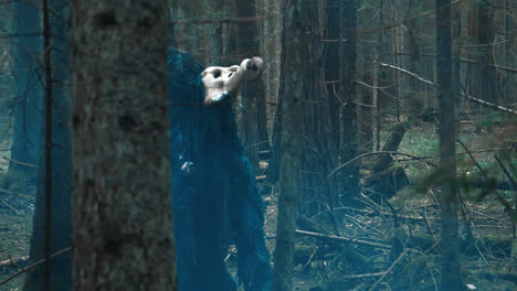 Terrible-animal-on-high-paws-walking-through-woods.-Mysterious-creature