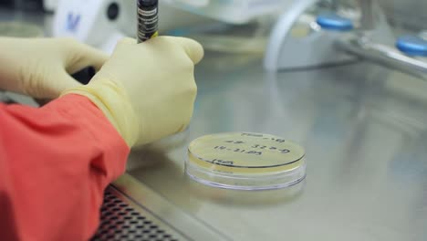 Scientist-hand-writing-on-test-beakers.-Hands-in-gloves-working-with-test-tubes