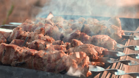 Closeup-pork-shashlik-kebabs-grilling-on-brazier.-Tasty-pork-kebabs-on-grill
