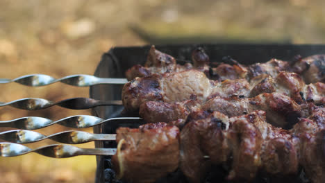 Fresh-meat-on-skewers-grilling-on-hot-charcoal-grill.-Closeup-preparation-meat-bbq