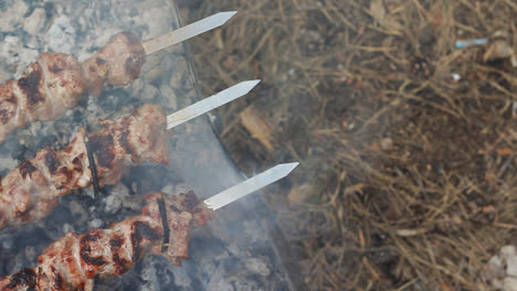 Asar-Carne-De-Shish-Kebab-Sobre-Carbón.-Cocinar-Carne-A-La-Parrilla-A-La-Parrilla-Caliente