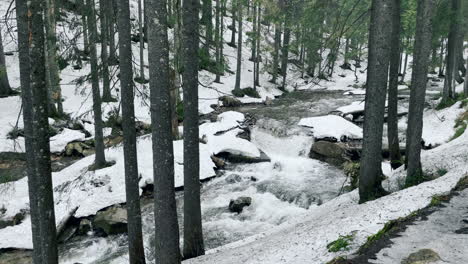 Fast-river-in-winter-forest.-View-of-speedy-brook-flowing-among-boulders-in-wood