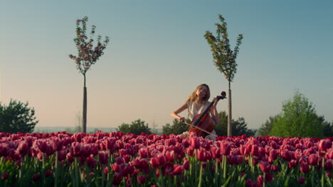 Young-woman-playing-cello-with-inspiration-in-blooming-tulip-field