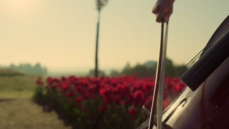 Closeup-strings-with-bow-in-woman-hands.-Passionate-girl-playing-cello-outdoors.