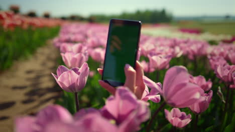 Unknown-woman-making-photo-at-phone-in-flowers.-Cellphone-screen-in-woman-hand.